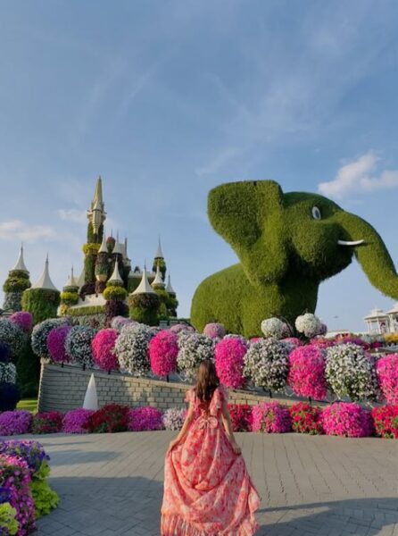 Dubai Miracle Garden w Zjednoczonych Emiratach Arabskich.