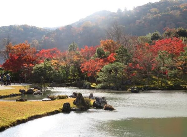 Ogrody Tenryuji w Kioto.
