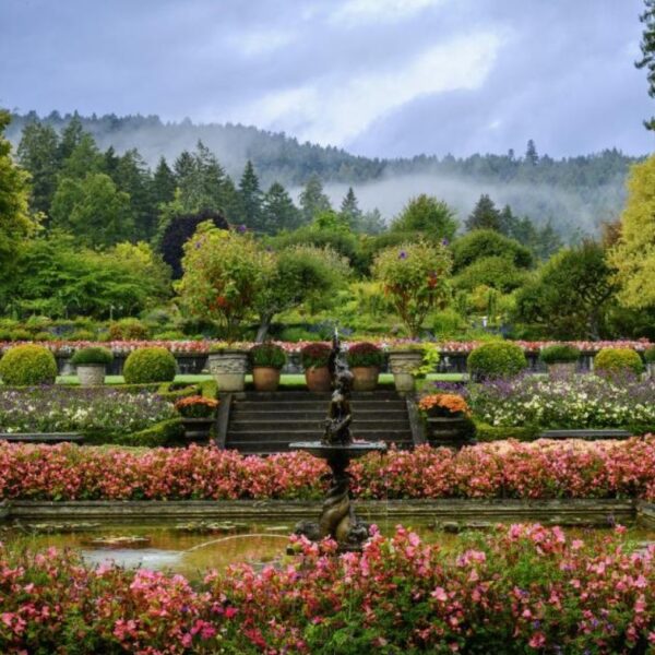 Butchart Gardens w Vancuver.