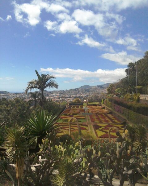 Ogród botaniczny w Funchal na Maderze.