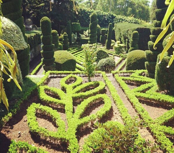 Ogród botaniczny w Funchal na Maderze.