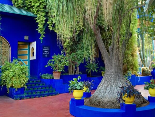 Jardin Majorelle w Makareszu.