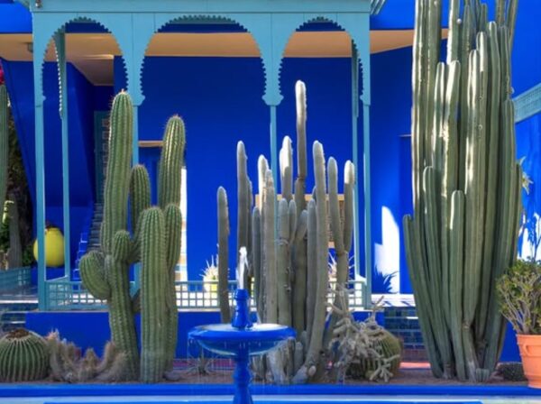 Jardin Majorelle w Makareszu.