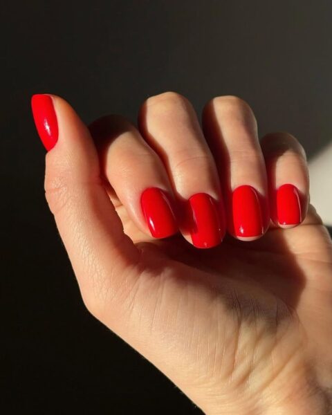 Zdjęcie dłoni ze zbliżeniem na manicure stewardessy: krótkie paznokcie o kwadratowym kształcie z miękkimi bokami i pomalowane na kolor klasycznej czerwieni.