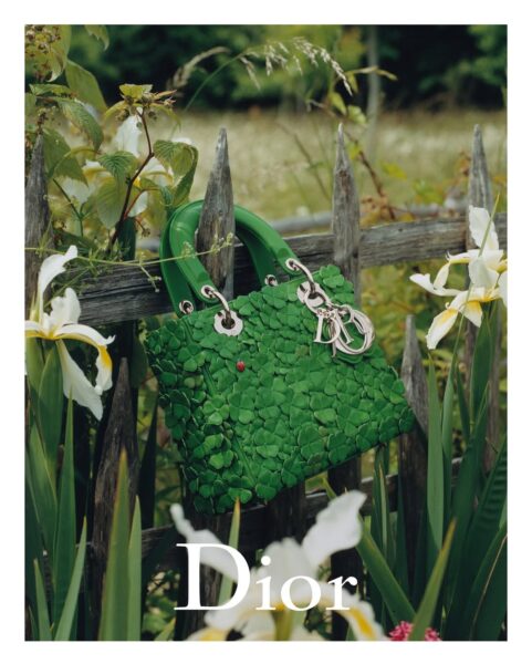 Torebka Lady Dior projektu Jonathana Andersona /fot. Dior