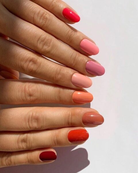 Zbliżenie na dwie dłonie z manicurem skittles na krótkich, owalnych paznokciach. Każdy paznokieć na dłoniach pomalowany jest innym kolorem, tworząc gradient od jasnego różu na palcach wskazujących, przez czerwień na kciukach, aż po ciemny, burgundowy odcień na małych palcach. Paznokcie są błyszczące, a zdjęcie zostało zrobione w jasnym świetle.
