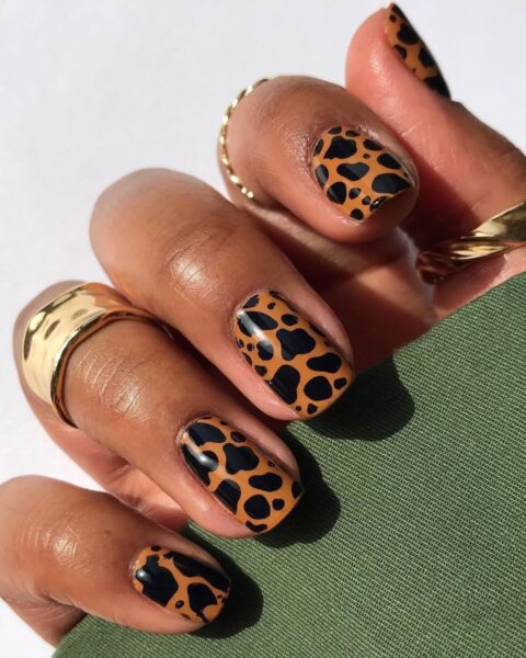 Manicure z modnym wzorem w krowie łaty. Krótkie paznokcie o kwadratowym kształcie pomalowane są beżowym lakierem z czarnymi plamkami. Dłoń zdobią złote, masywne pierścionki, a ręka spoczywa na zielonej, materiałowej powierzchni.