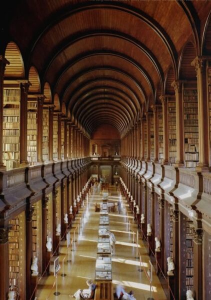 Wnętrze biblioteki. 