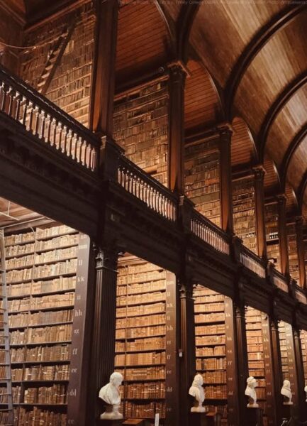 Wnętrze biblioteki. 